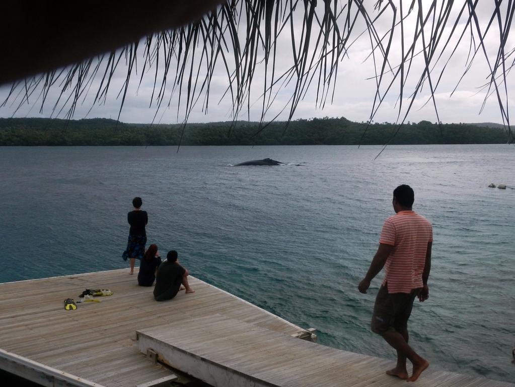 Tongan Beach Resort Utungake Exteriér fotografie